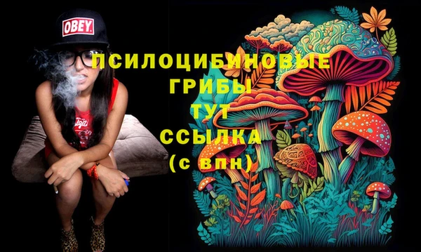 гашик Богданович