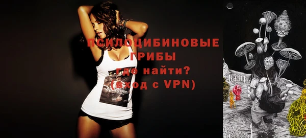 мдпв Богородицк