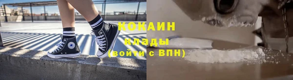 мдпв Богородицк
