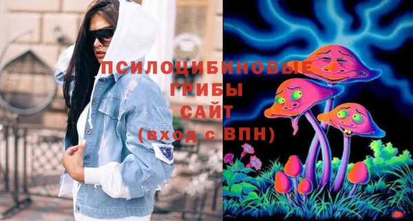 гашик Богданович