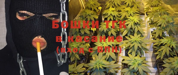 гашик Богданович