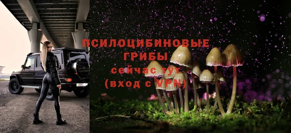 гашик Богданович