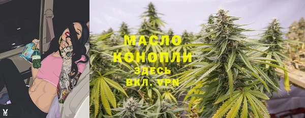 дмт Богородск