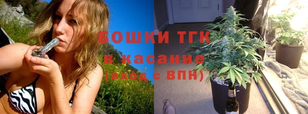 дмт Богородск