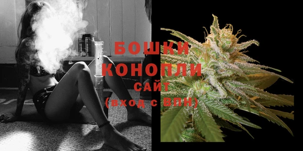 гашик Богданович