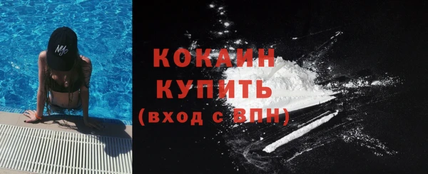 гашик Богданович