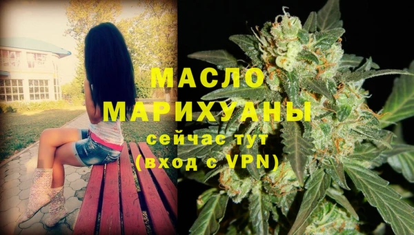 дмт Богородск