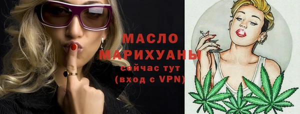 мдпв Богородицк