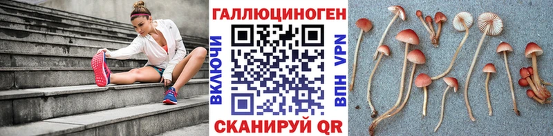 Купить закладки  Сорочинск  Галлюциногенные грибы GOLDEN TEACHER 